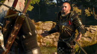 Witcher 3 Milan Noran