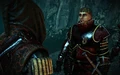 Siegfried in The Witcher 2