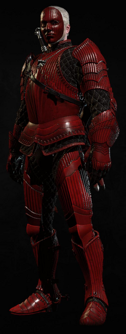 Tw3 bw hen gaidth armor set