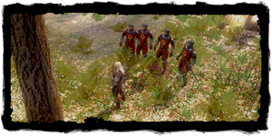 Geralt with his Order posse
