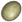 wyvern eggs