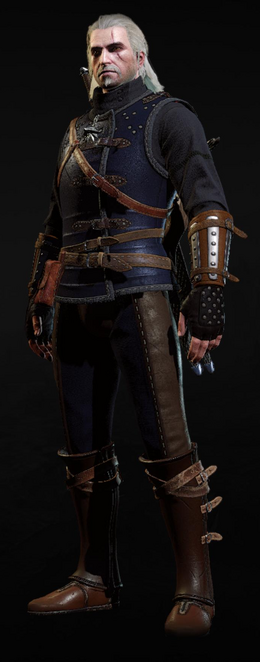 Enhanced Feline Armor The Official Witcher Wiki
