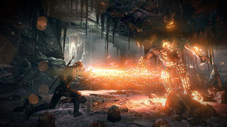 witcher 3 wii