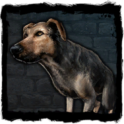 Bestiary Dog.png