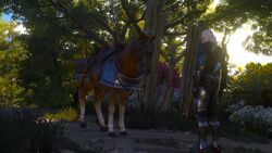 Tw3 baw equine phantoms (3).jpg