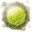 Greater enhancement mutagen