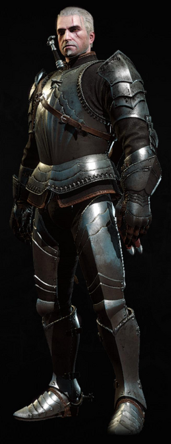Tw3 armor Toussaint knight gear.png