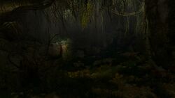 Tw3 baw the pits of brume (1).jpg