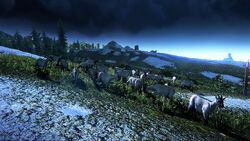 Tw3 screenshot goats.jpg