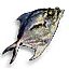 Tw3 fish.png