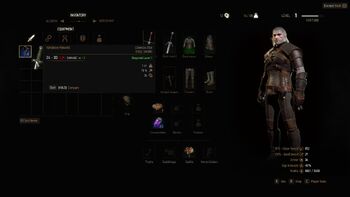 Witcher 3 Pocket Slot Items