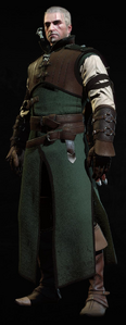 Tw3 armor ursine gear