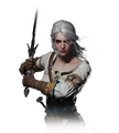 Tw3 journal ciri.png