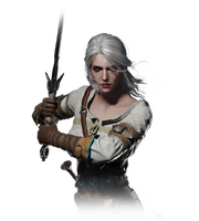 Tw3 journal ciri