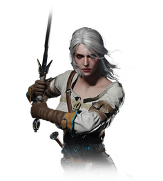 Tw3 journal ciri