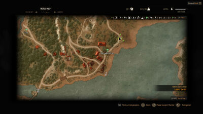 Witcher 3 Ransacked village.jpg