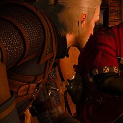 the witcher turkiye fandom
