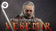 The Witcher Vesemir - Who is Vesemir? - The Oldest Witcher