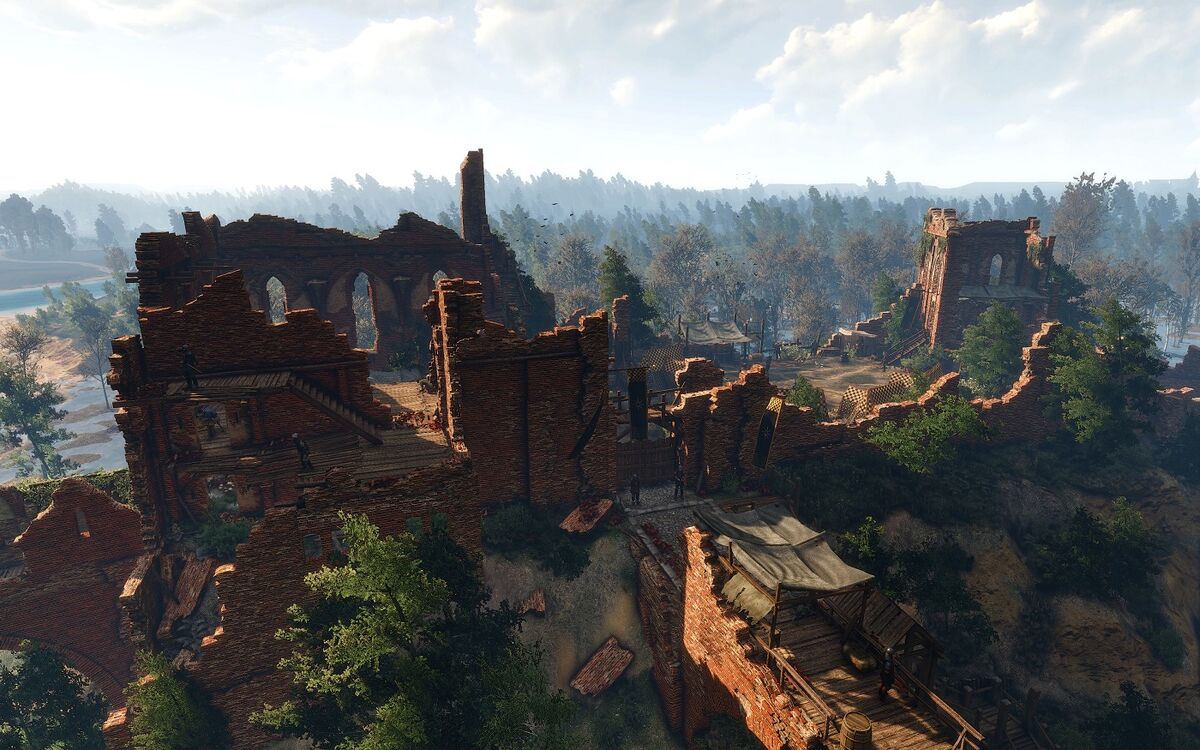 The witcher 3 witcher quests фото 96