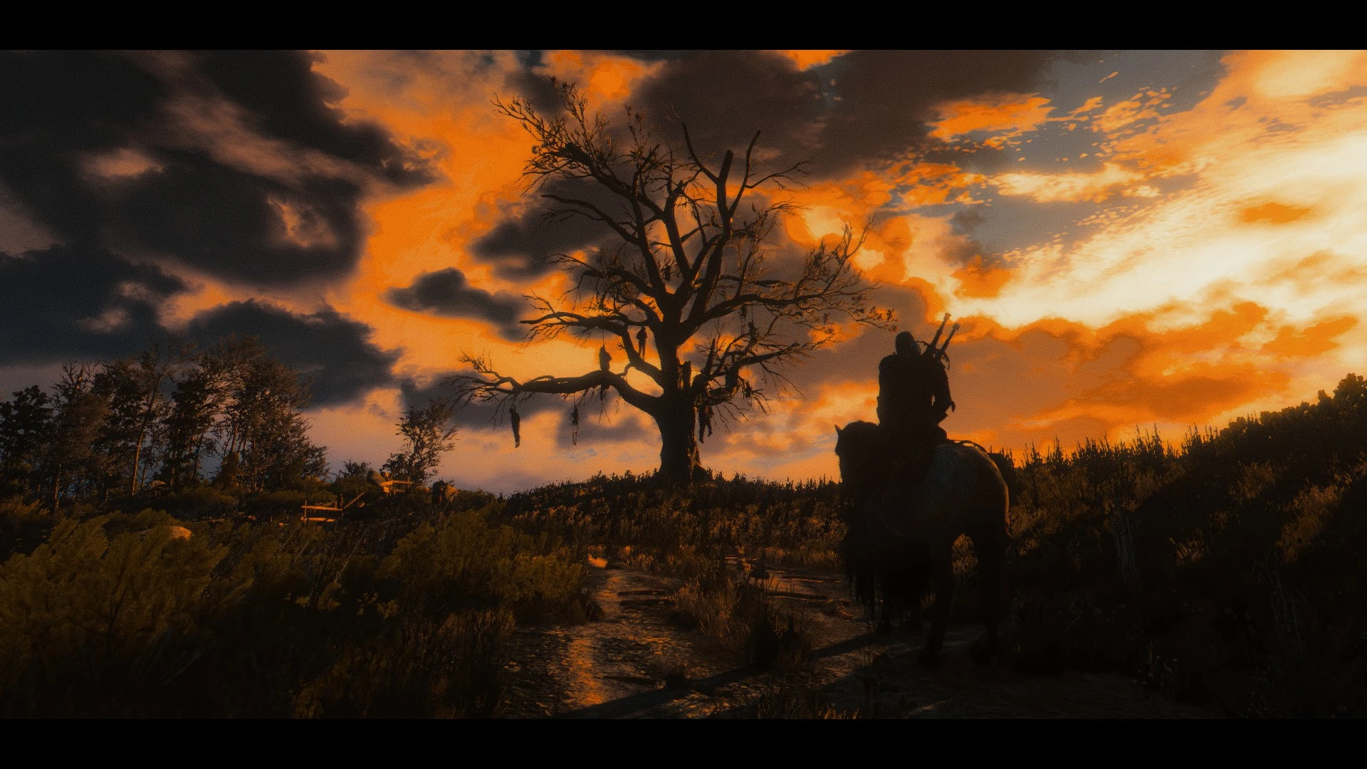 Asılmış Adam Ağacı | The Witcher Türkiye | Fandom