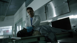 Dash-Kyle-Morgue