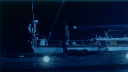 Foto-Dash-Killian-Bote