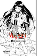 Chapter 222