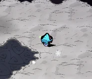 A frostcap mushroom in the snow.