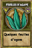 Feuille d'agave.png