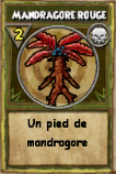 Mandragore rouge.png