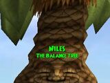 Niles, the Balance Tree