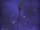 Gravewynd's Earth Staff