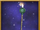 Wand of the Universe