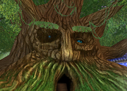 Bartleby The Grandfather Tree