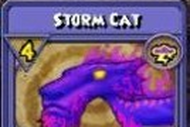 wizard101 storm cat