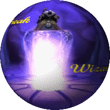 Wizard101-Freak Wiki
