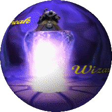 Wizard101-Freak Wiki