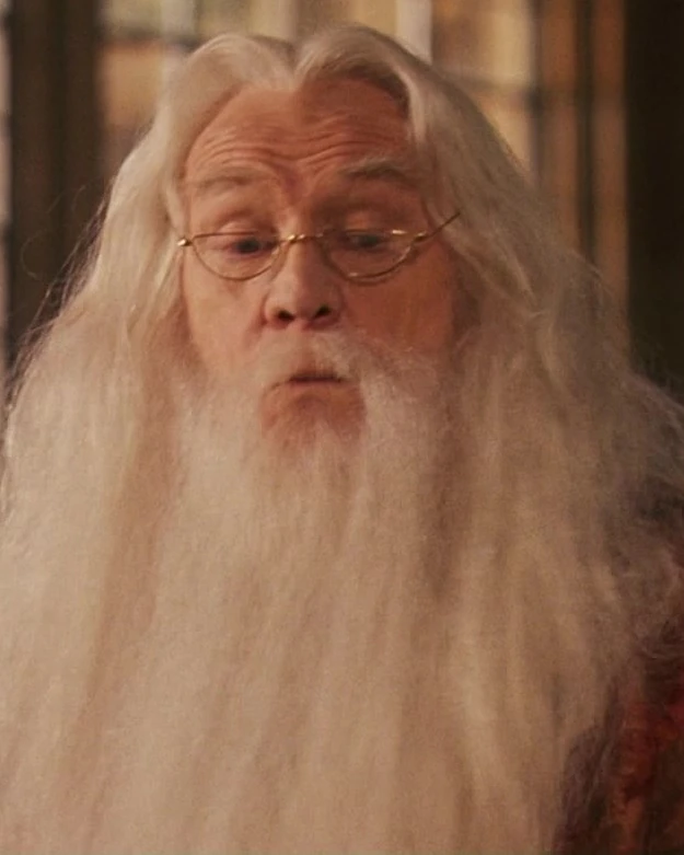 dumbledore tower lego