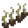Embracing Vines