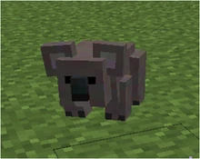 Koala | WizardsAnimalsWiki Wiki | Fandom