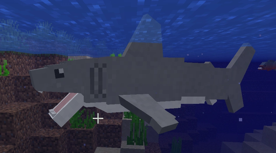 Shark, Great White | WizardsAnimalsWiki Wiki | Fandom