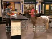 Centaur Girl.jpg