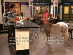 Centaur Girl.jpg