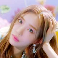 Dawon ppf