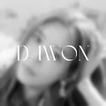 Dawon ppf 2