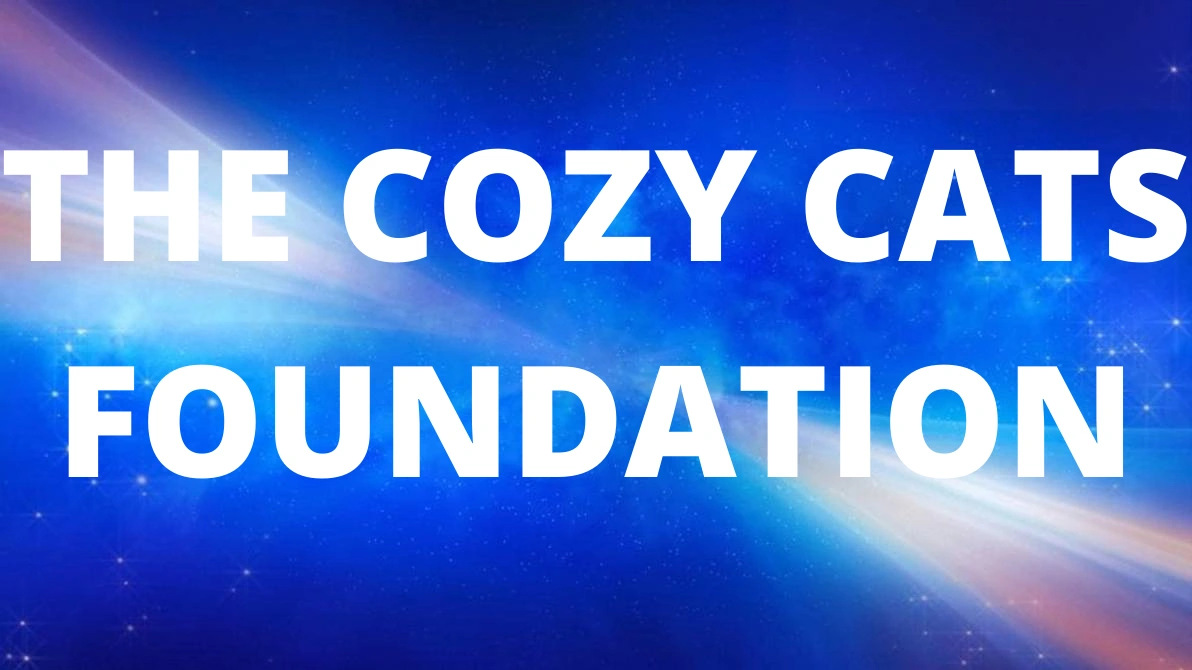 The Cozy Cats Foundation WKBS PBS Kids Wiki Fandom