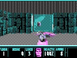 WolfensteinCGA