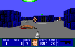 Wolfenstein – Pixel Hunted