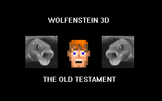 super wolfenstein 3d