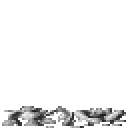 Debris/Bones (Nonsolid)